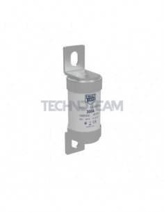 B200 - Fuse 38x73mm 1000VDC BS aBat 250A