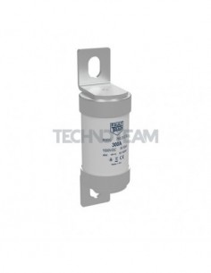 BSDC - Fusibile 38x73mm 1000VDC BS aBat 300A