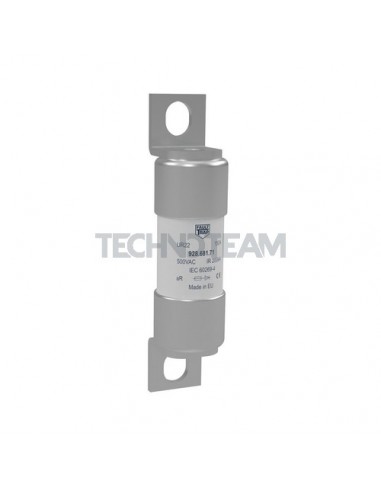 UR22 - Fuse 690V AC 22x58 fixing 80mm 100A UR22 - Fuse 690V AC 22x58 fixing 80mm 100A