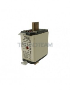 Fuse NH00 gG 500V insulated cover double indicator 125A